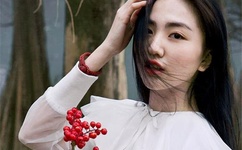 中国被开除的三个院士